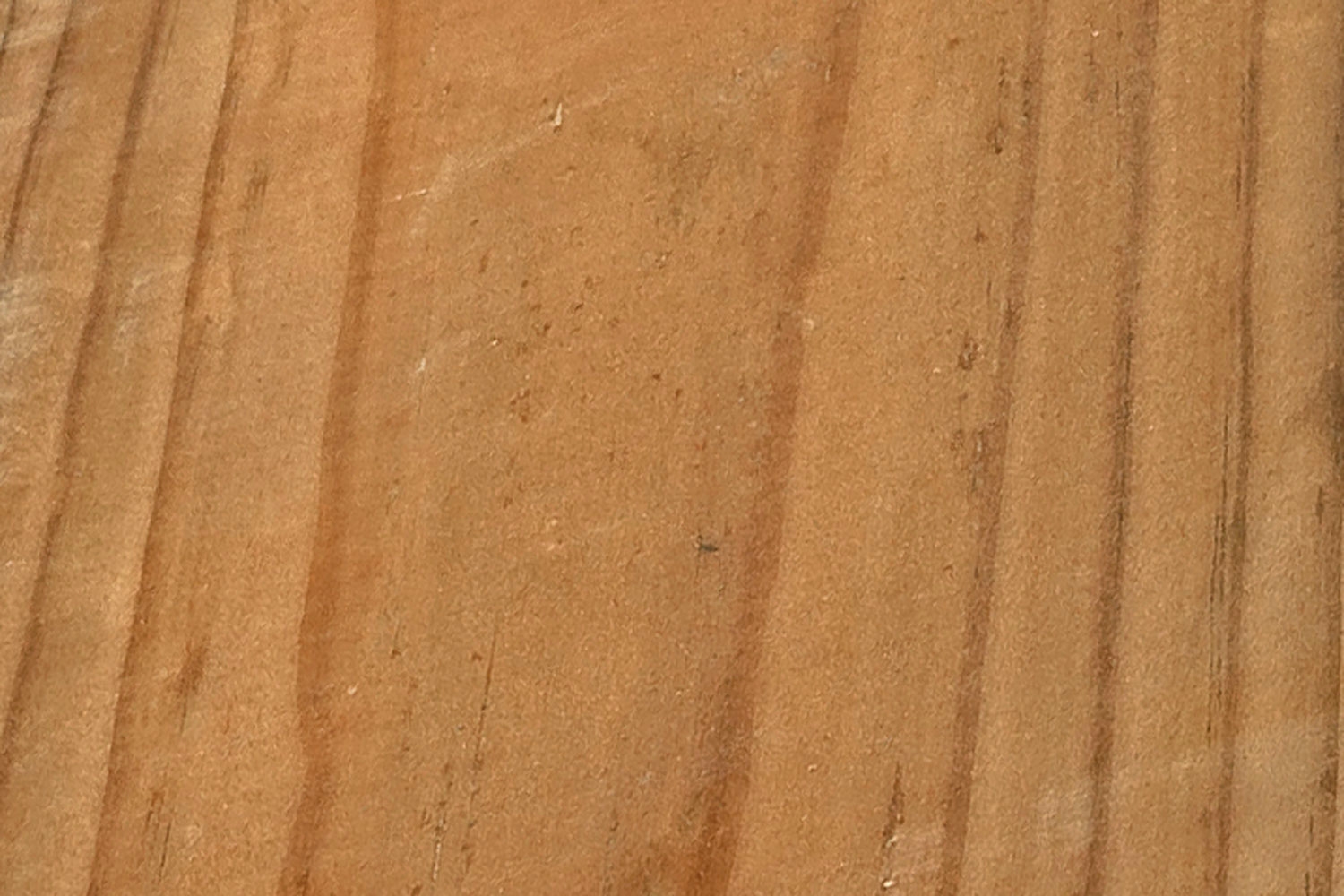 TERASSILAUTA: RUSKEA KESTOPUU