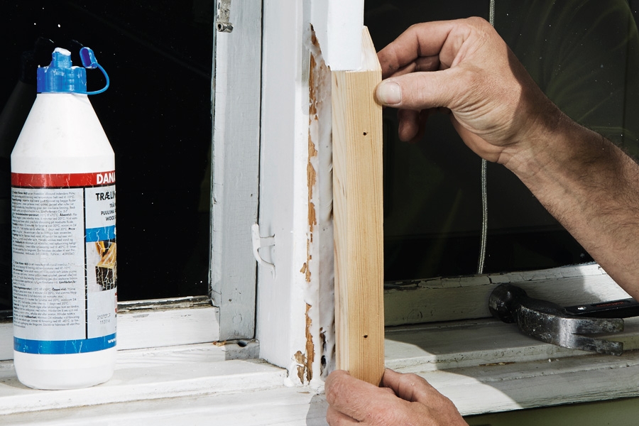 Slik: Lapp råttent treverk