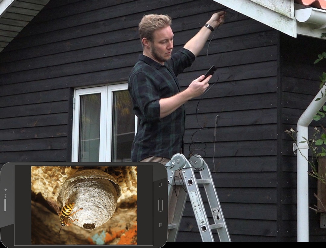 Inspektionskamera: Använd inspektionskameran till att leta efter skadedjur