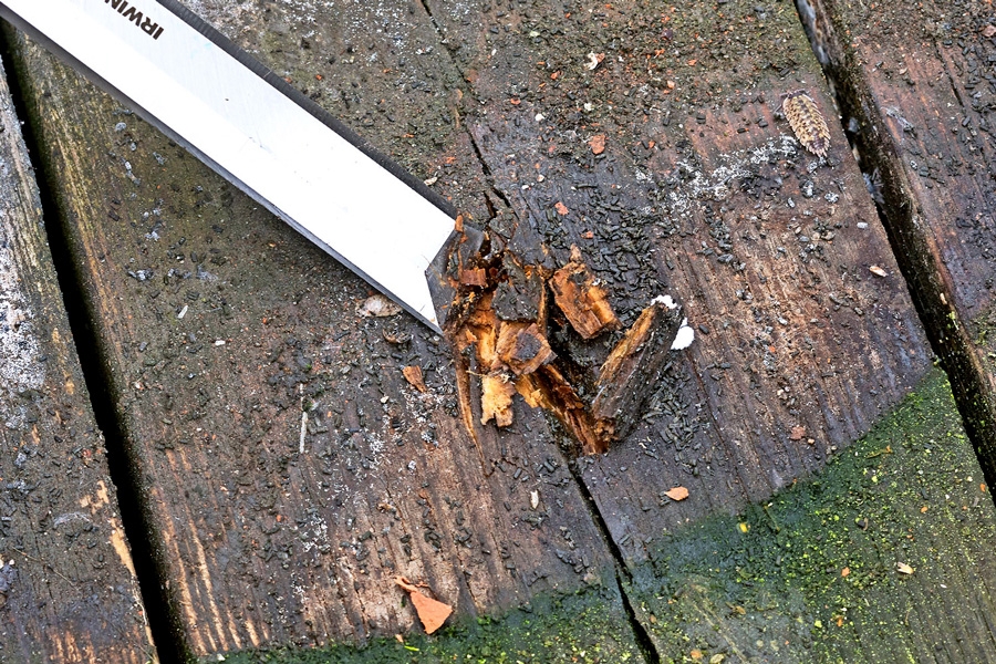 Tryck in stämjärnet eller skruvmejseln i träet.