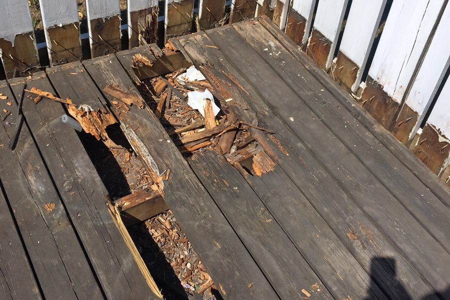 Tilanne oli näin paha ennen remonttia. Moni terassilauta oli lahonnut pilalle. Uudet komposiittilaudat eivät lahoa.