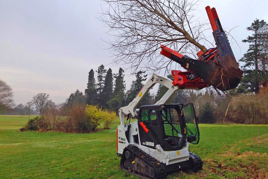 Bobcat: Flytta träd