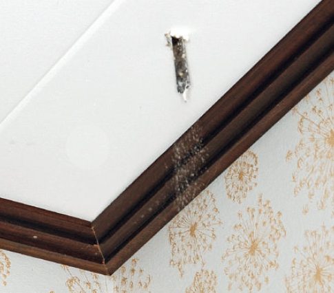 Borra med en träborr ner genom taket