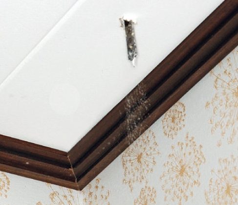 Poraa puuterällä reikä katon läpi, kun olet löytänyt luukulle sopivan paikan