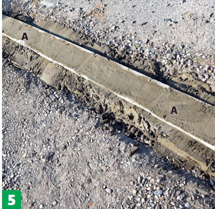 Skydeport: Hele renden fyldes og stampes.