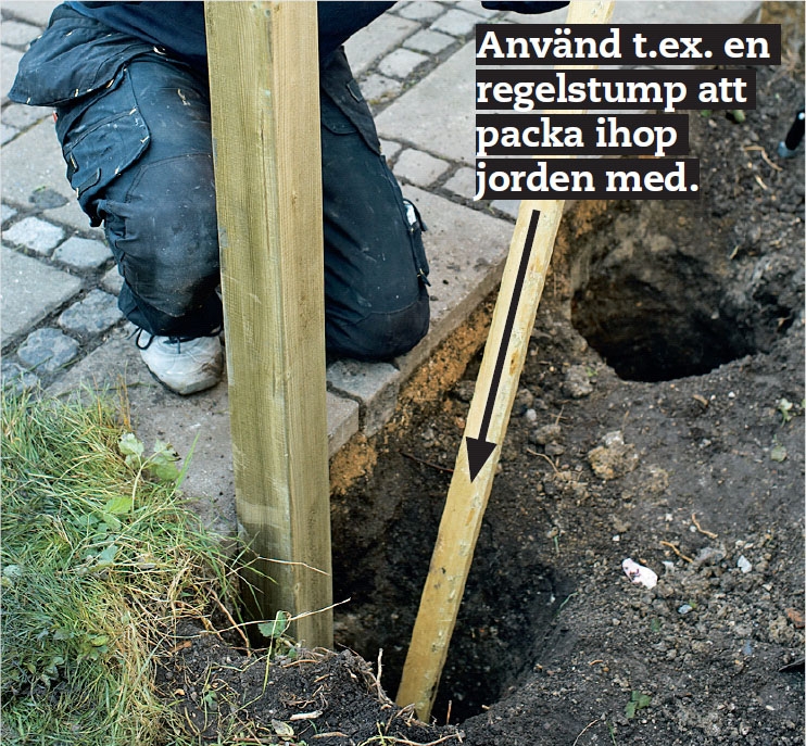 Bygga vedskjul mot vägg: Gräv tillräckligt djupt