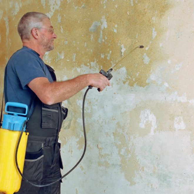 Näin poistat paperitapetin - Ruiskuta seinään tapetinirrotusaineseos-ta puutarharuiskulla