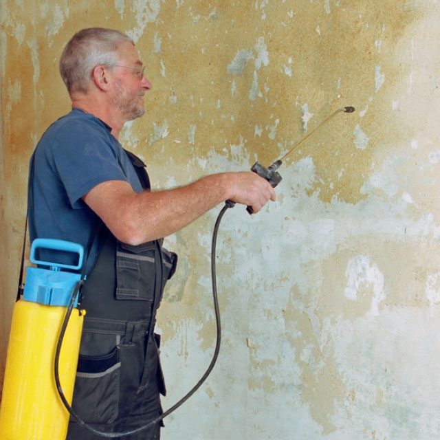 Fjerne savsmuldstapet – der skal flere våben til