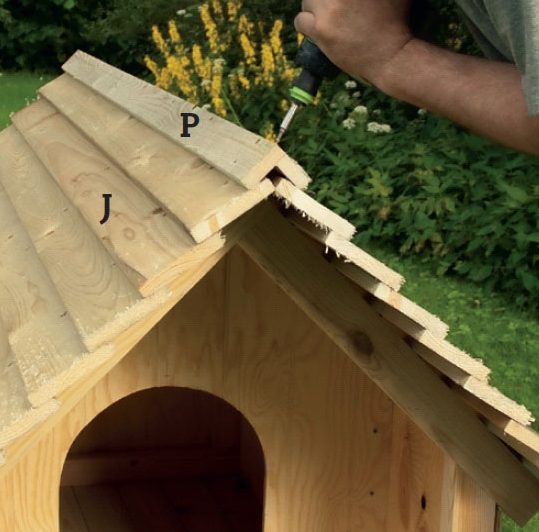 Eristetty koirankoppi: Ruuvaa harjalauta kiinni, kun kaikki laudat on asennettu