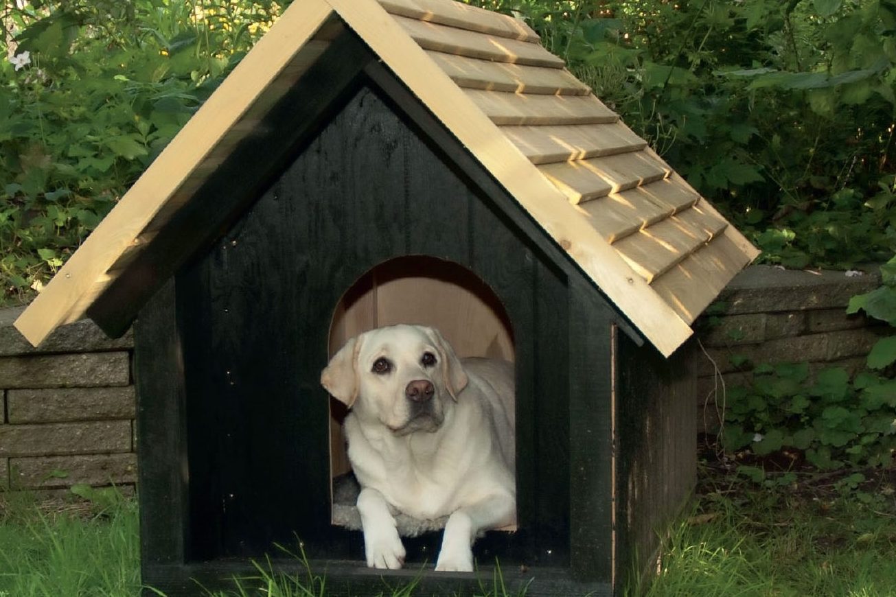 Eristetty koirankoppi