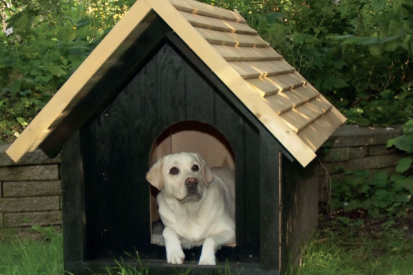 Labrador ligger i isoleret hundehus