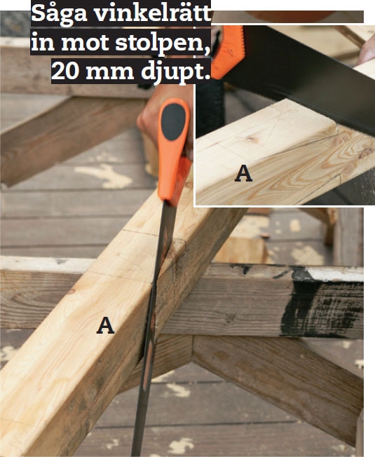 Segelduk: Såga urtagen med fogsvans.