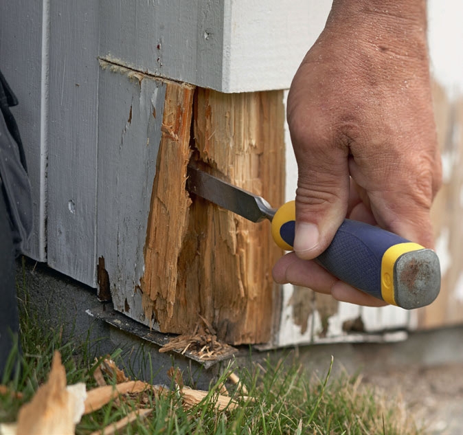 Lahonneen puun korjaus