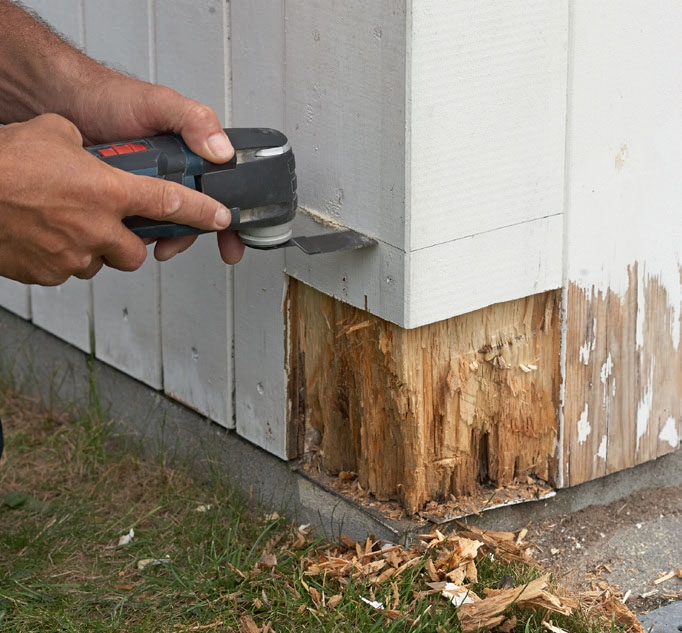 Lahonneen puun korjaus