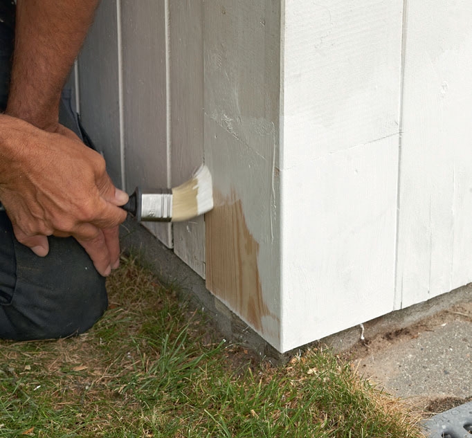 Lahonneen puun korjaus