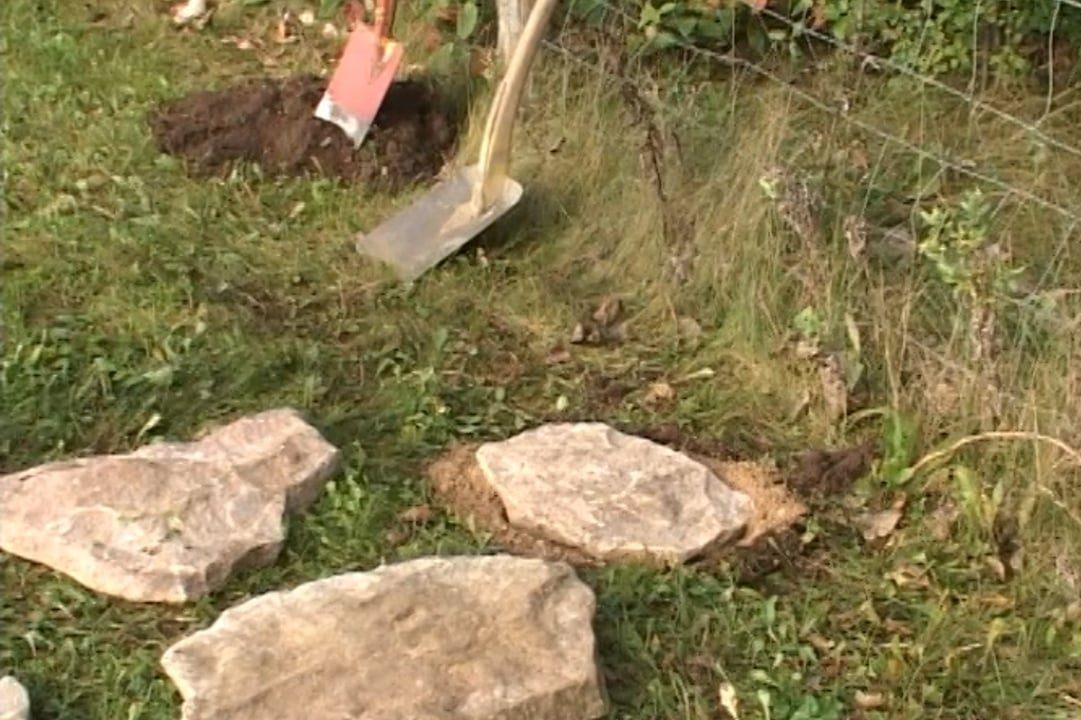 Hageganger: lage sti i hagen