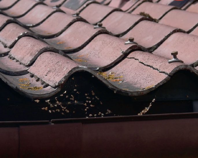 Spruckna takpannor eller takskivor