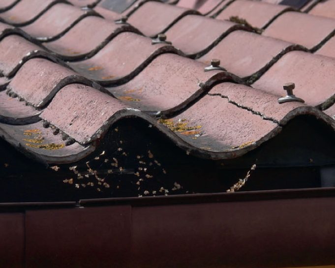 Vaihda haljenneet levyt ja tiilet uusiin