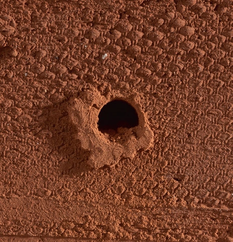 Hvor meget kan en skrue holde?