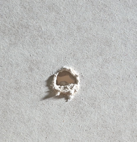 Hvor meget kan en skrue holde?