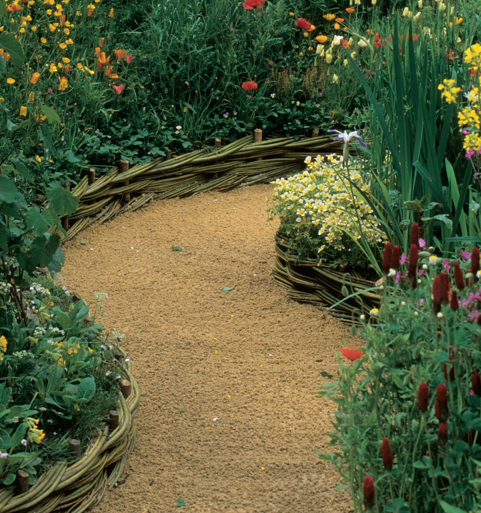 Rabattkant: Pilgrenarna flätas