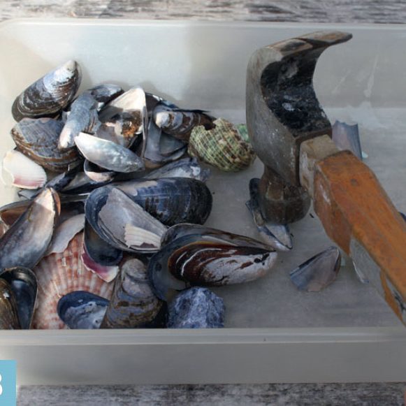 Terrazzo bänkskiva kök: Sten och skal krossas till mindre bitar