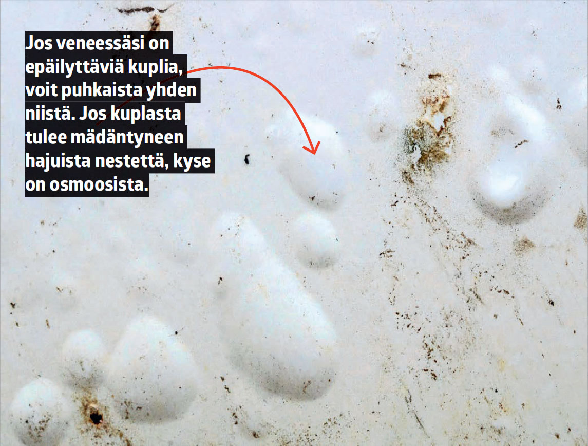 Näin käytät lasikuitua