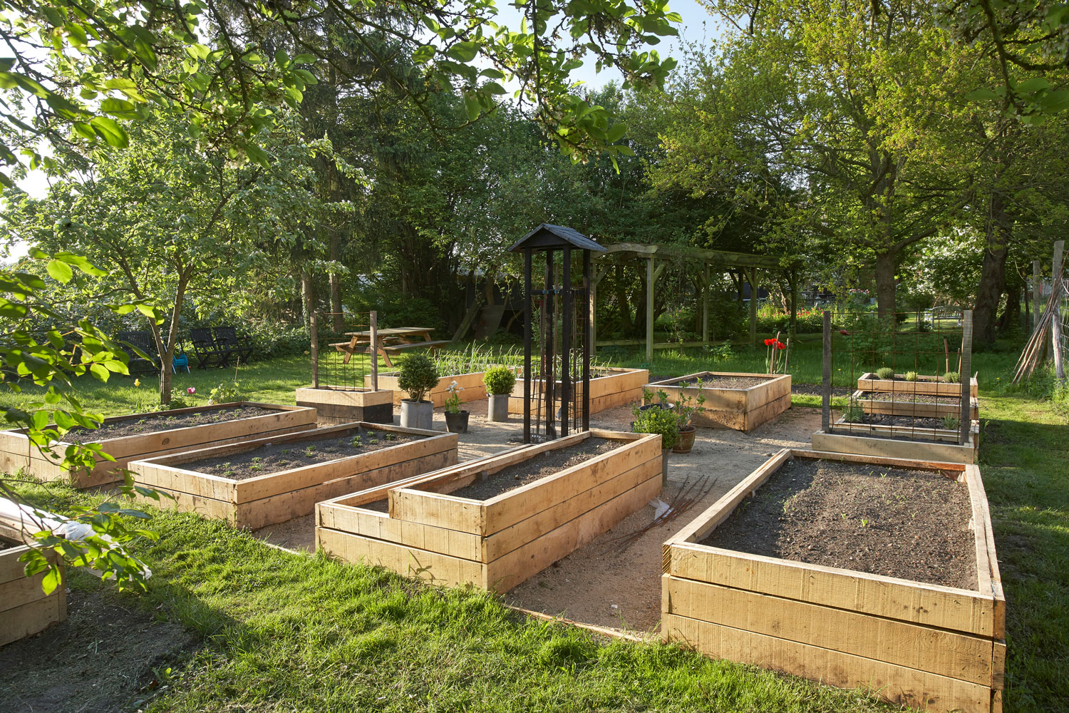 Dette skal du vite før du bygger høybed