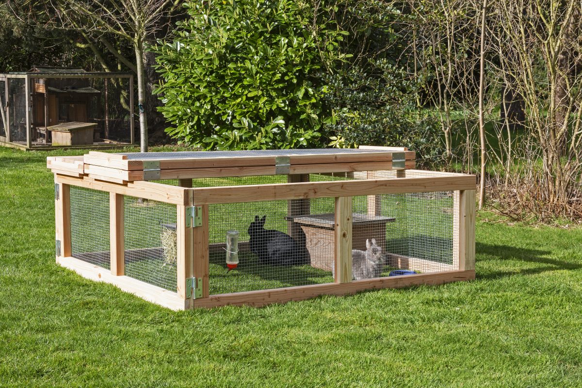 Byg et hjemmelavet udendørs kaninbur: Sådan bygger du et praktisk kaninbur i lette moduler