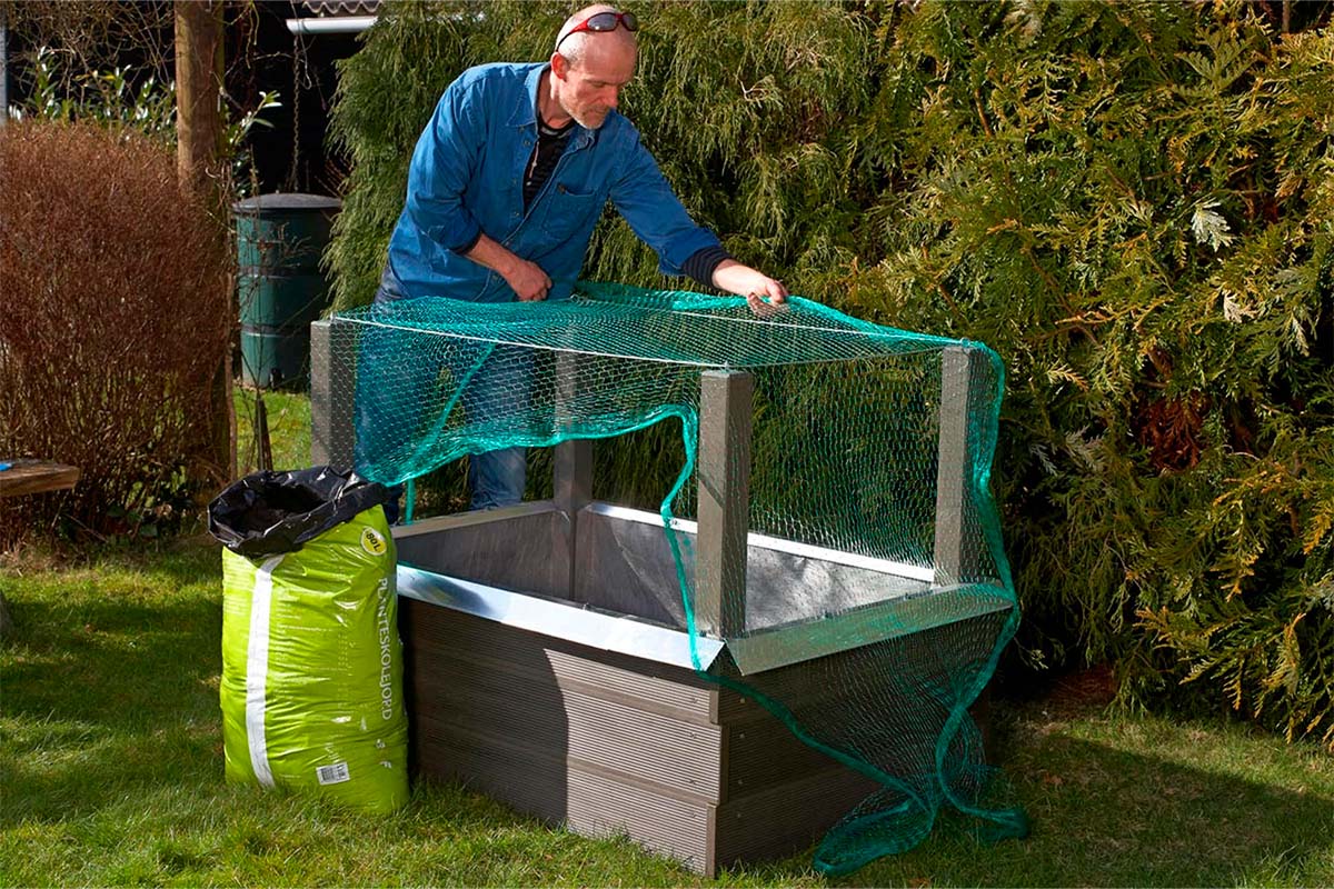 7 tips til plantekasser