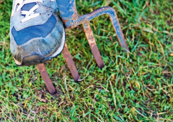 Drænhuller græsplæne med havegreb