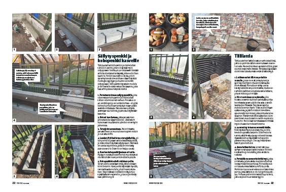 Talvipuutarha jossa on paljon tilaa katon alla