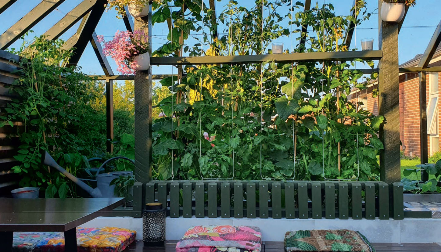 Bygga orangeri av gamla fönster