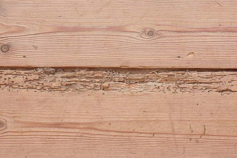 Borebiller i trægulv