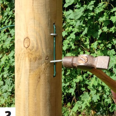 Hjemmelavet espalier