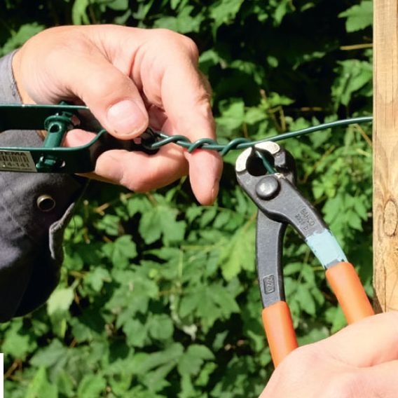 Hjemmelavet espalier