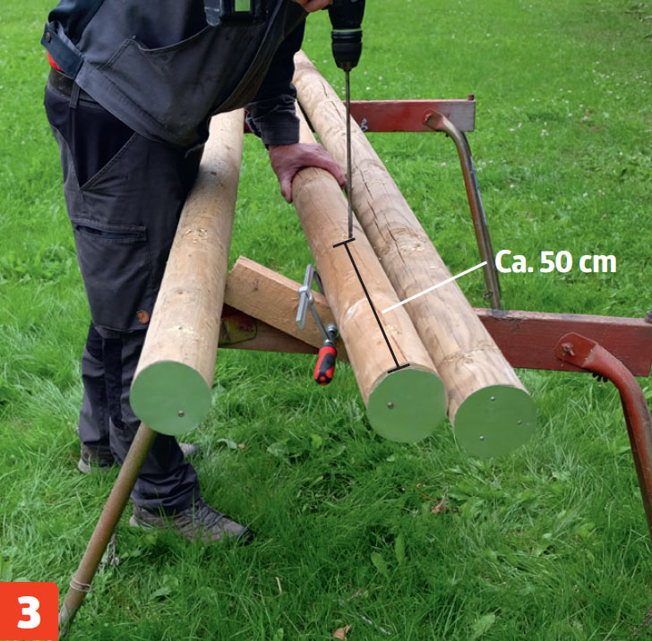 Espalier tre | Oppbinding av trær