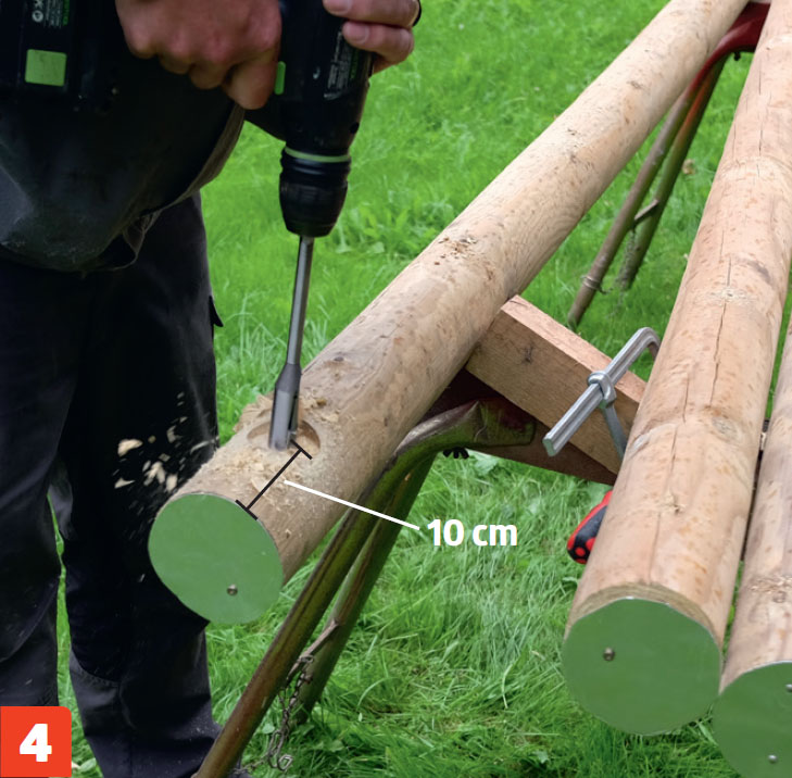 Espalier tre | Oppbinding av trær