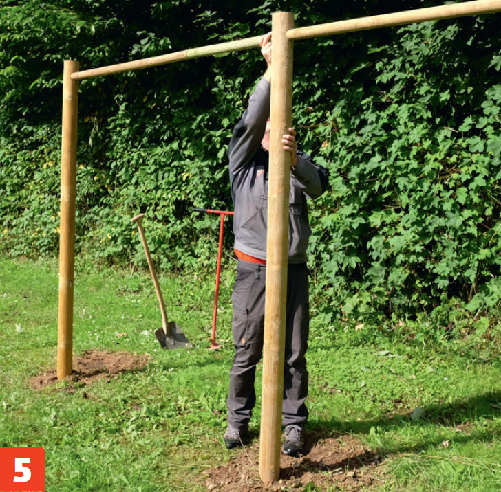 Espalier tre | Oppbinding av trær