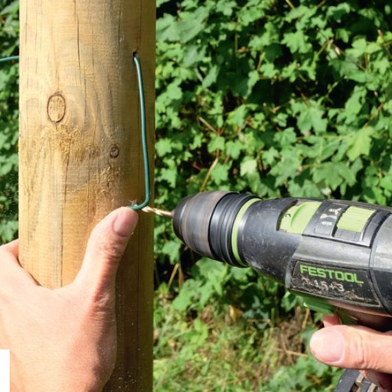 Espalier tre | Oppbinding av trær