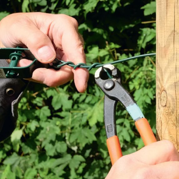 Espalier tre | Oppbinding av trær