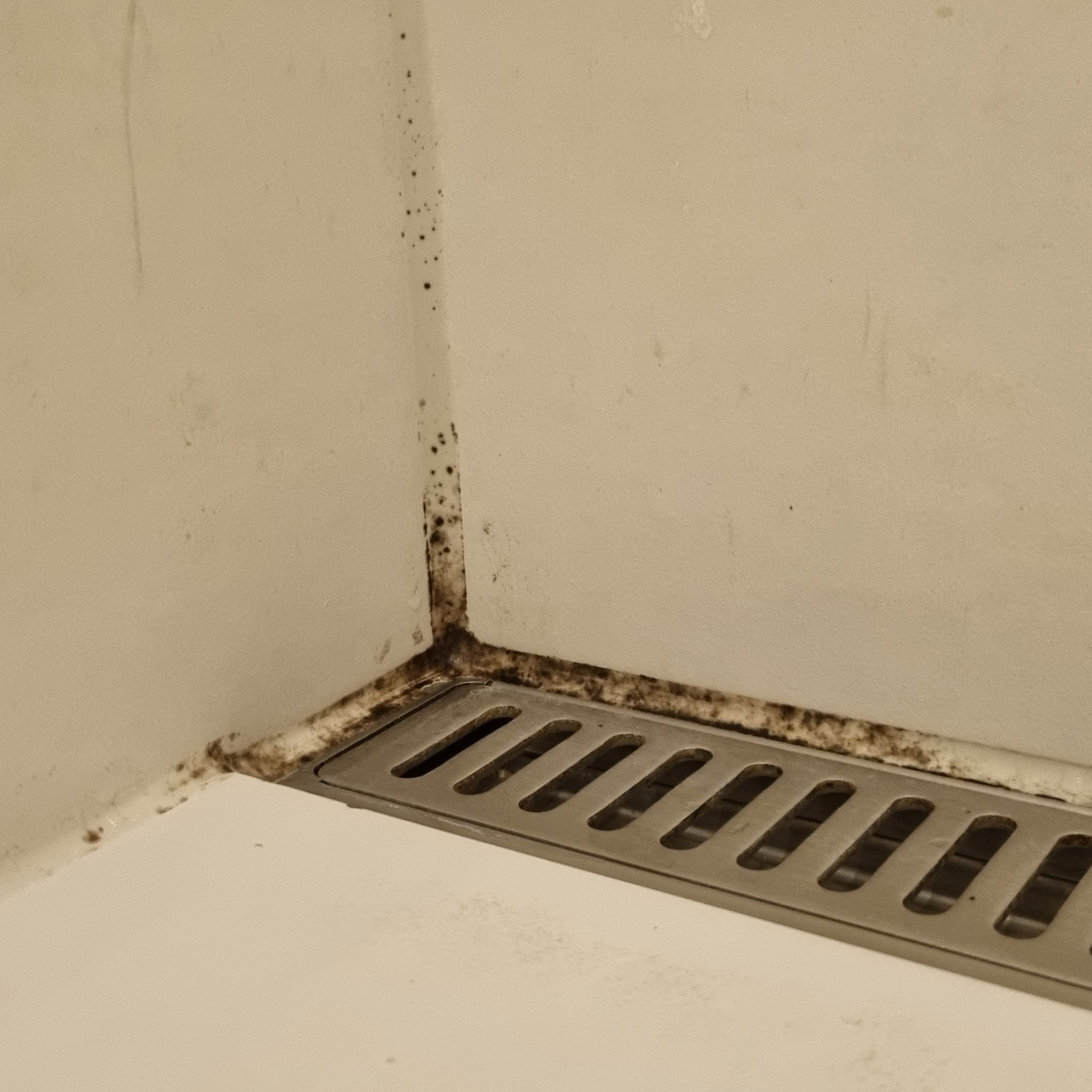 Mugg i fuger på bad: før