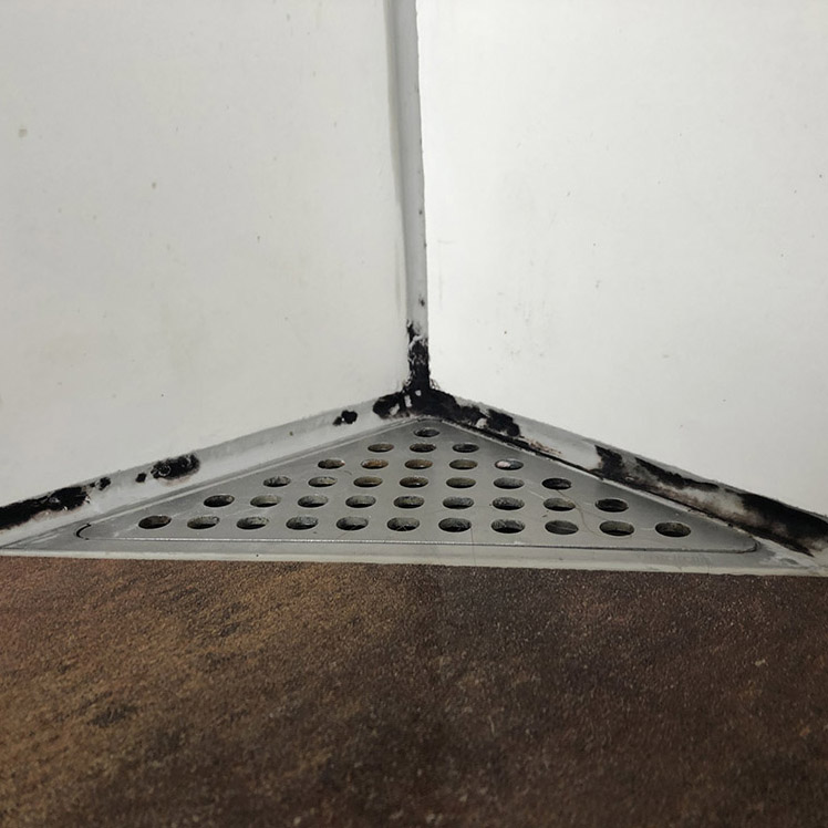 Mugg i fuger på bad: før