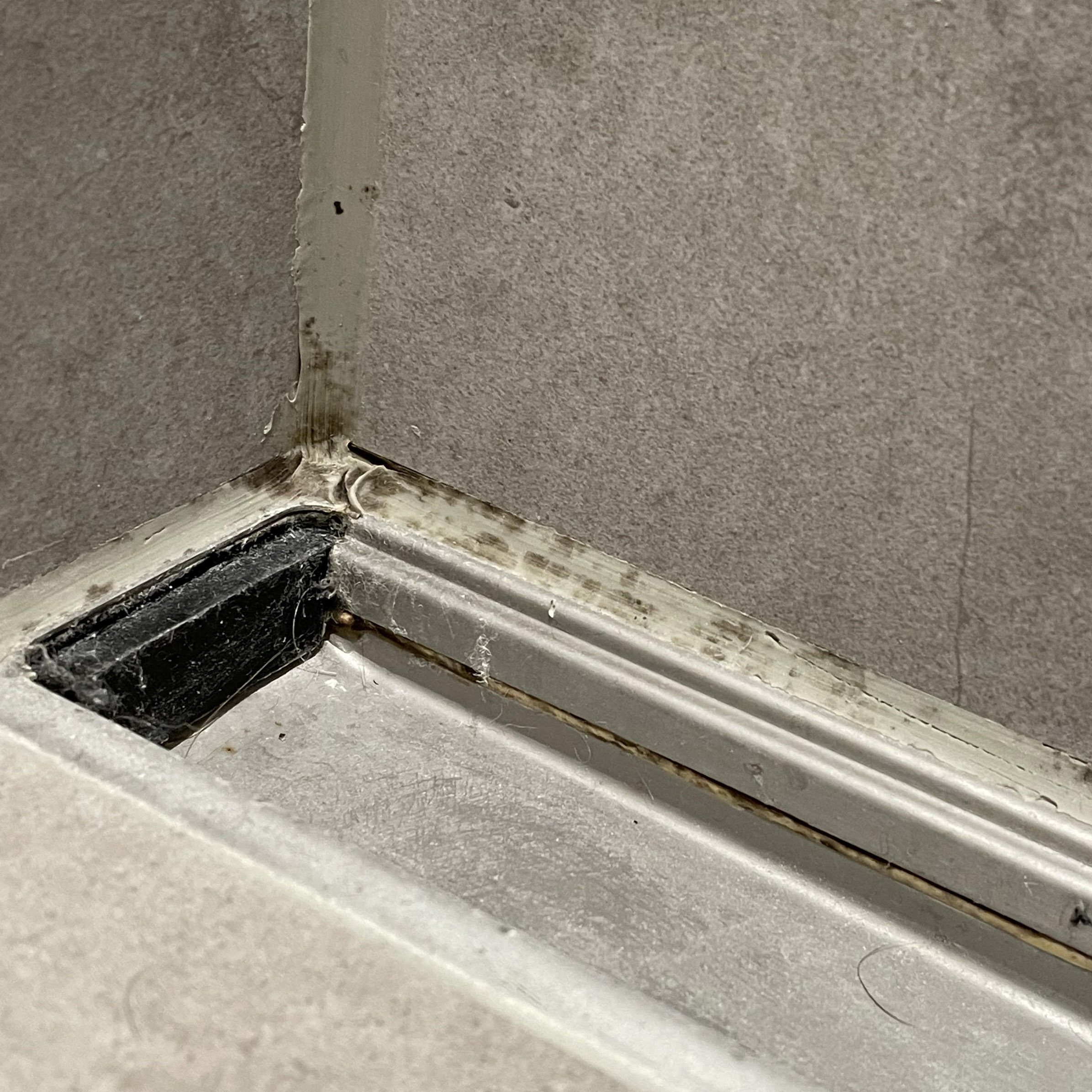 Mugg i fuger på bad: før