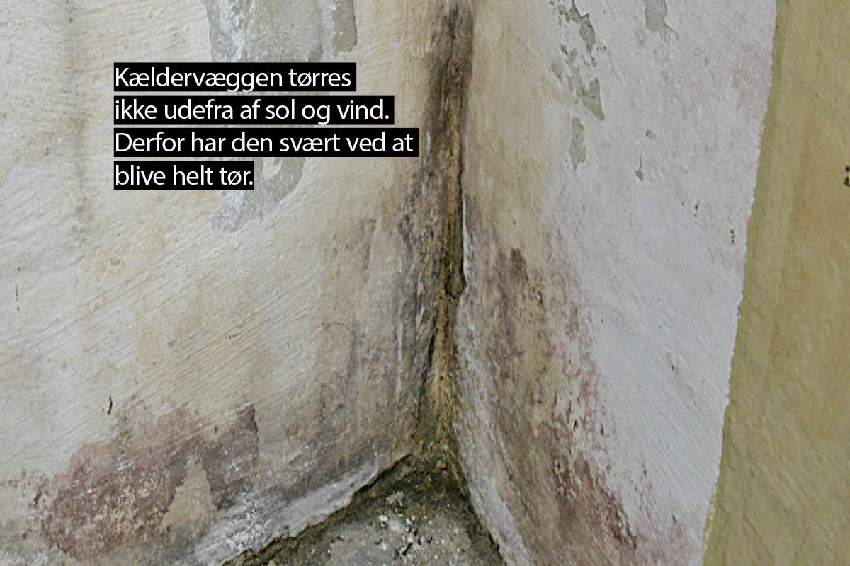 Ventilation i kælderen