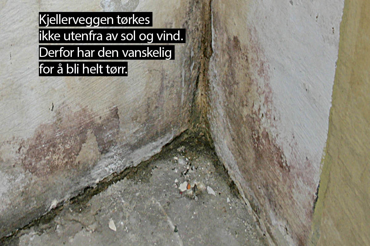 Ventilasjon: Kjelleren