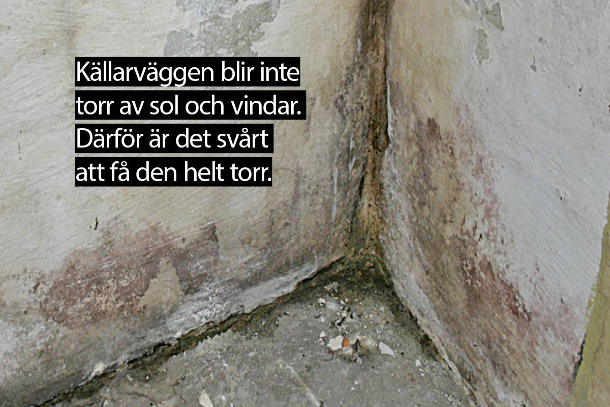 Ventilation källare