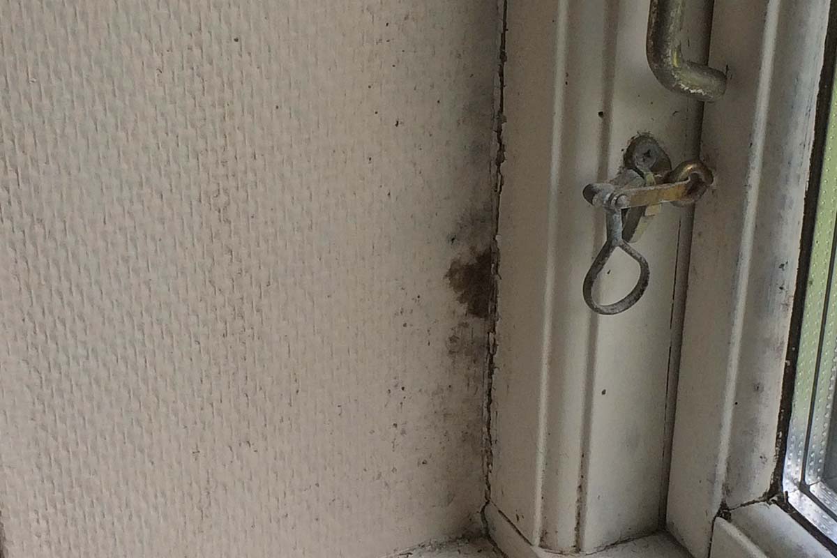 Hur tar man bort svartmögel?