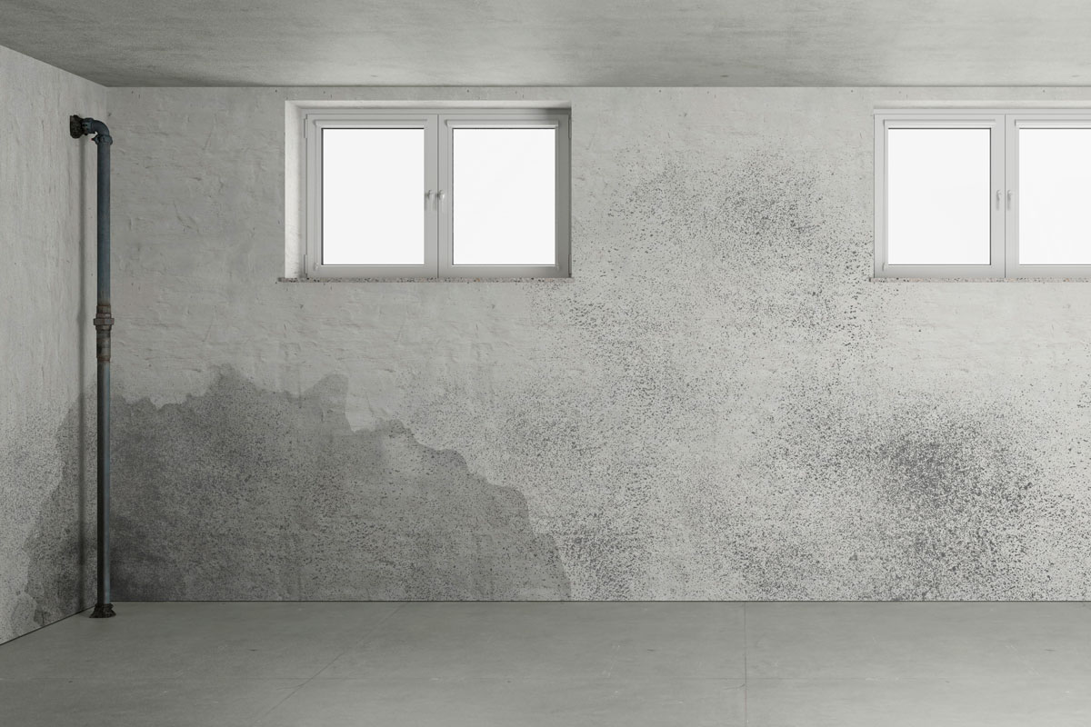 Få bukt med kjellerfukten