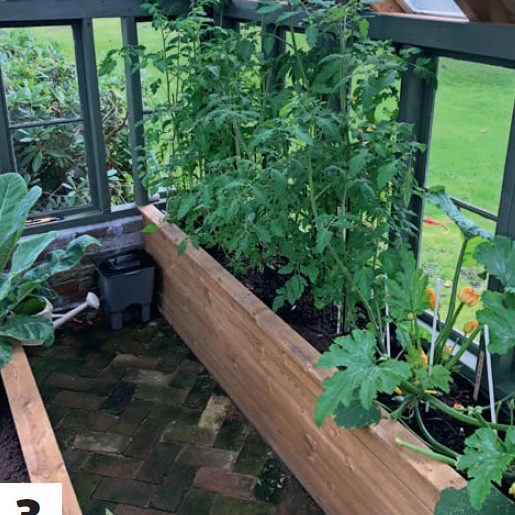 Bygga växthus av gamla fönster